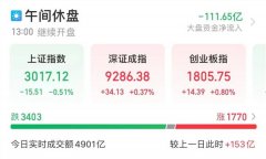 疑遭利空，大白马股价跌停，公司火速回应！融资出逃4大行业超20亿元，电子行业成“香饽饽”，月内融资大手笔加仓股出炉